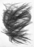 Temporäre Aufenthaltsorte - Camps - 1