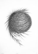 Temporäre Aufenthaltsorte - Camps - 5