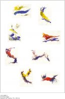 Erinnerungsbilder - 11